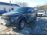 Ford F150 Supercrew 1FTFW1EF8EFC44625 снимка