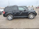 Ford Escape Xlt Automatic 1FMCU0D72BKB41888 photo