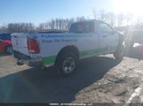 Ram  St 3C63R3AL5JG118837 fotografie