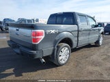 Ford F-150 Platinum 1FTFW1ET8BFA51750 снимка