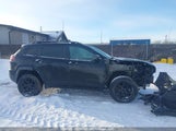Jeep Cherokee Trailhawk 1C4PJMBX6MD118498 снимка