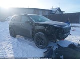 Jeep Cherokee Trailhawk 1C4PJMBX6MD118498 снимка