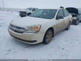 Chevrolet Malibu Ls 1G1ZT54865F323347 снимка