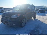 Kia Soul 2.0L 2U/2.0L 4U/2.0L 4U Burner/2.0L 4U Retro/2.0L 4U Sx KNDJT2A28A7117700 photo