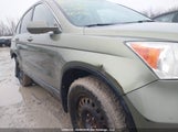 Honda Cr-V Ex-L 5J6RE48757L816268 fotografie
