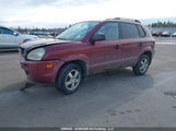 Hyundai Tucson Gls KM8JM12B07U669431 снимка