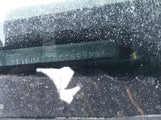 Toyota Corolla S/Le 2T1BU4EE0CC895234 снимка