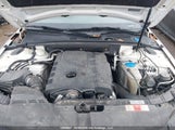 Audi A4 2.0T Premium WAUFFCFL6AN003952 снимка