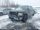 Ford F-150 Xlt 1FTFW1ET2DFD35037 снимка