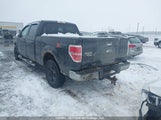 Ford F-150 Xlt 1FTFW1ET2DFD35037 снимка