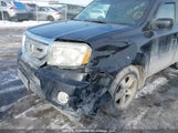 Honda Pilot Ex 5FNYF4H42AB503256 снимка