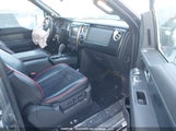 Ford F-150 Fx4 1FTFW1E60DFD86191 fotografie