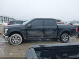 Ford F150 Supercrew 1FTEW1E80GFB73503 fotografie