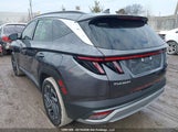 Hyundai Tucson Ultimate Hybrid Awd KM8JCDD14SU285461 photo