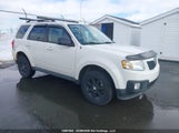 Mazda Tribute Gx I4 4F2CY0C75BKM03252 fotografie