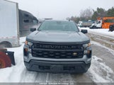 Chevrolet Silverado  Work Truck 3GCNDAED0RG150162 photo