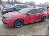 Acura Tlx Technology/A-Spec 19UUB3F67KA800043 снимка