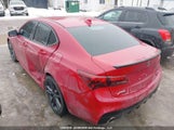 Acura Tlx Technology/A-Spec 19UUB3F67KA800043 снимка