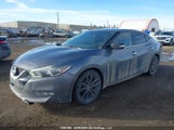 Nissan Maxima Platinum/Sl/Sr/Sv 1N4AA6AP2GC902230 photo