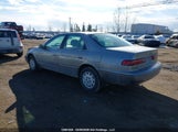 Toyota Camry Ce/Le/Xle V6 JT2BG22K5W0117184 fotografie