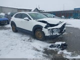 Mazda Cx-30 3MVDMBCM1SM871651 снимка
