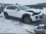 Mazda Cx-30 3MVDMBCM1SM871651 снимка