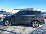 Mercedes-Benz Ml 350 Bluetec 4JGDA2EB9DA115003 снимка