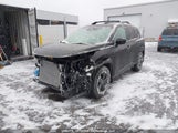 Nissan Rogue 60Th Anniversary Edition/Sv Moonroof JN8BT3BB9SW143887 снимка