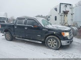 Ford F150 Supercrew 1FTFW1ET6EFA51167 снимка