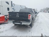 Ford F150 Supercrew 1FTFW1ET6EFA51167 снимка