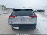 Toyota Rav4 Xle/Woodland Edition 2T3RWRFV8RW187008 photo