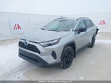 Toyota Rav4 Xle/Woodland Edition 2T3RWRFV8RW187008 photo