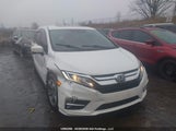 Honda Odyssey Exl 5FNRL6H66LB505539 photo
