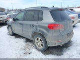 Volkswagen Tiguan Comfortline/Highline/Special Edition/Trendline WVGJV7AX0FW523370 fotografie