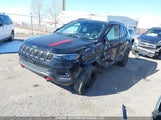 Jeep Compass Trailhawk 3C4NJDDN2PT550250 снимка