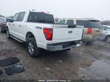 Ford F-150 Xlt 1FTFW3L81RKD73299 photo