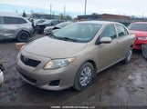 Toyota Corolla S/Le/Xle 2T1BU4EE7AC264929 снимка