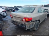 Toyota Corolla S/Le/Xle 2T1BU4EE7AC264929 снимка