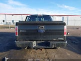 Ford F150 1FTMF1EM7DKD32609 fotografie