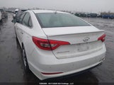 Hyundai Sonata Gls 5NPE24AF7FH238806 снимка
