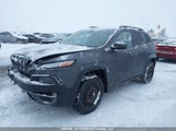 Jeep Cherokee Trailhawk 1C4PJMBS2GW180896 снимка