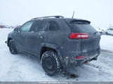 Jeep Cherokee Trailhawk 1C4PJMBS2GW180896 снимка