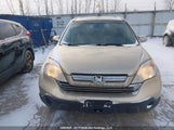 Honda Cr-V Ex-L 5J6RE48779L806683 photo
