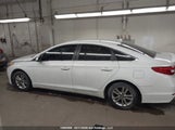 Hyundai Sonata 5NPE24AF0FH056381 снимка