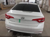 Hyundai Sonata 5NPE24AF0FH056381 снимка