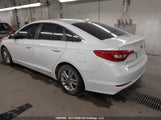 Hyundai Sonata 5NPE24AF0FH056381 снимка