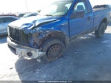 Ford F150 1FTRF14869KB35383 снимка