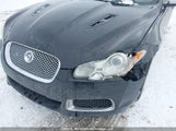 Jaguar Xf R SAJXA0JC1AMR74795 снимка