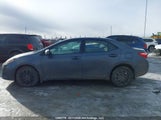 Toyota Corolla L/Le/Xle/Se/Xse 2T1BURHE9HC881722 fotografie