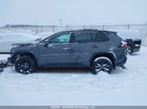 Toyota Rav4 Xse 2T35WRFV5RW204698 снимка